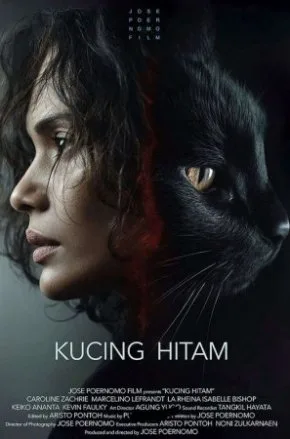 Kucing Hitam Kucing Hitam