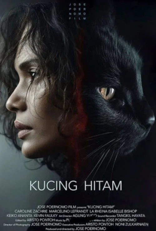 Kucing Hitam
