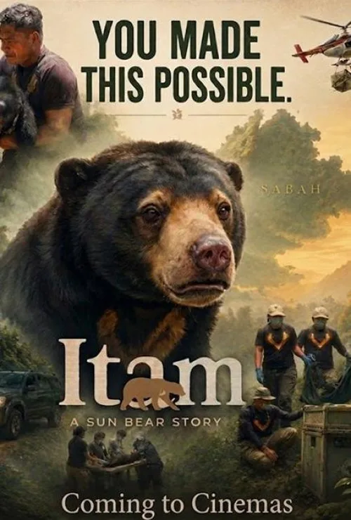 Itam: A Sun Bear Story