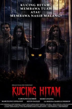 Kucing Hitam Kucing Hitam