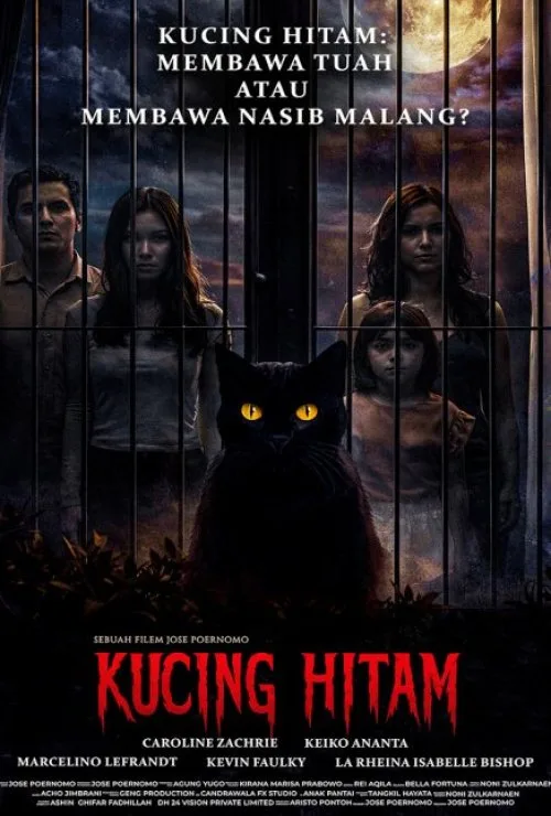 Kucing Hitam