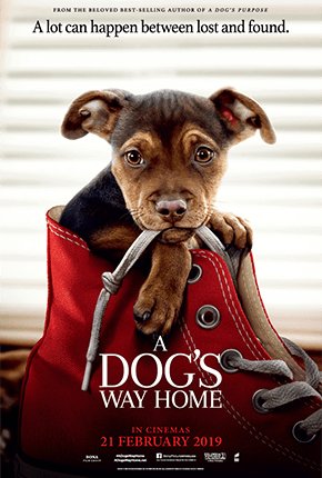 A DOG'S WAY HOME