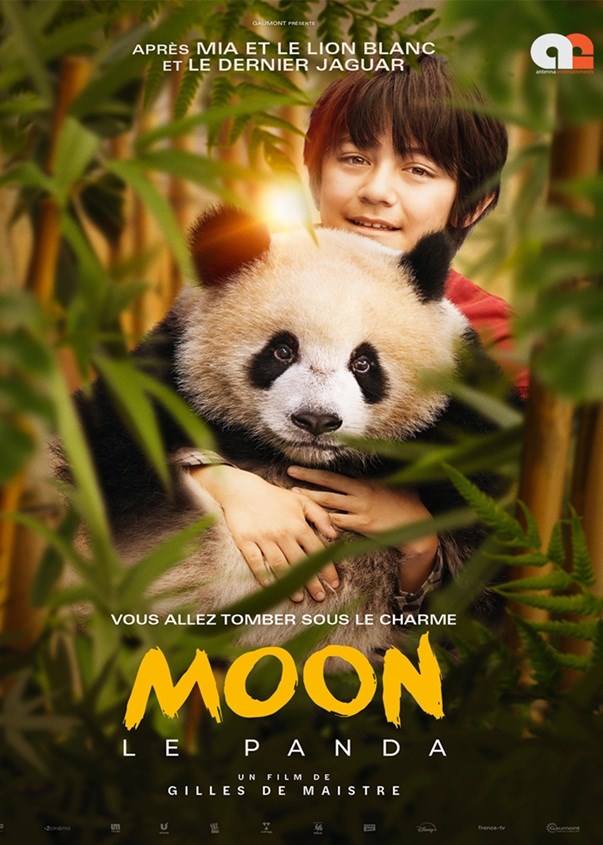 Moon: The Panda